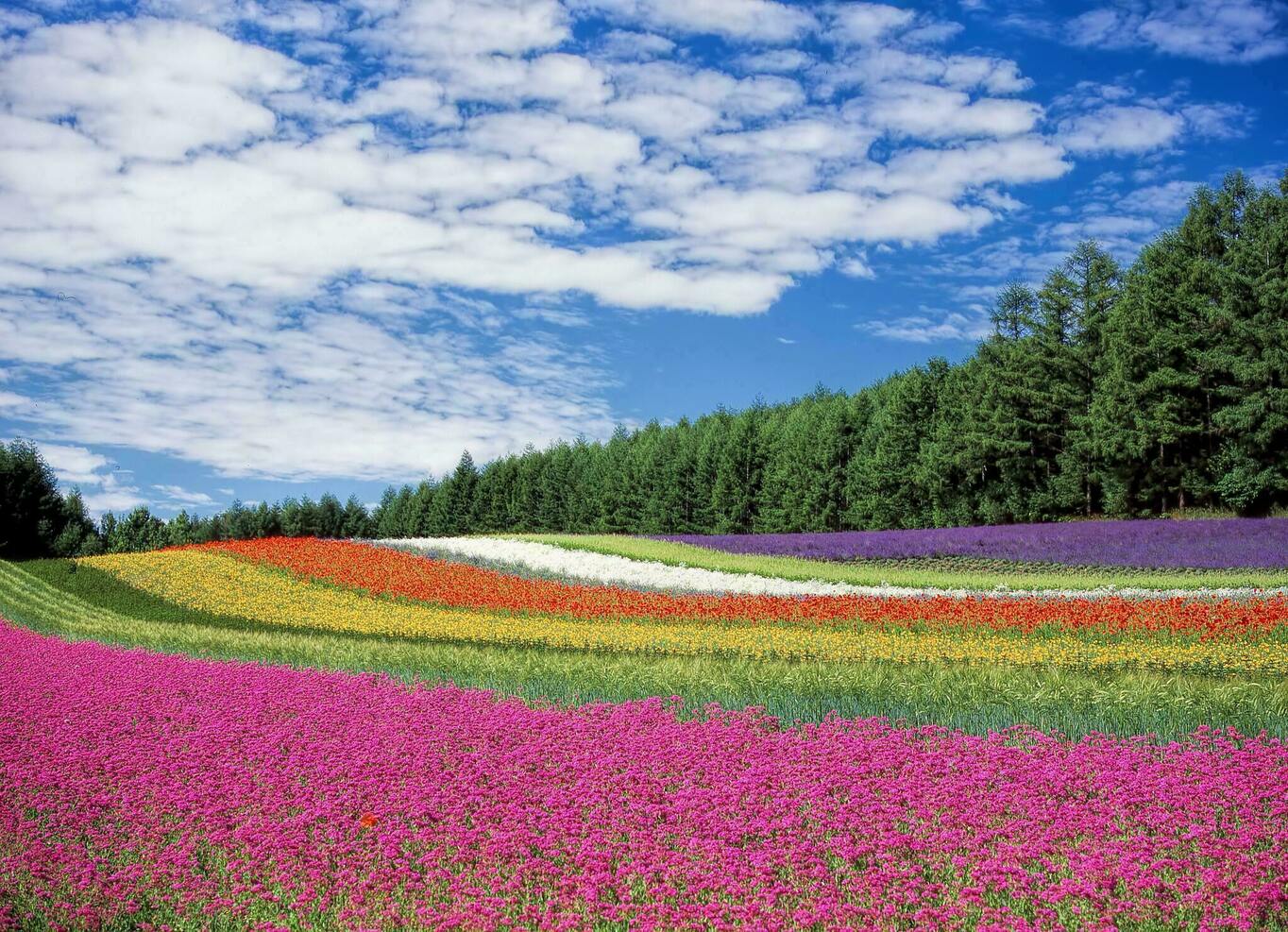 城堡